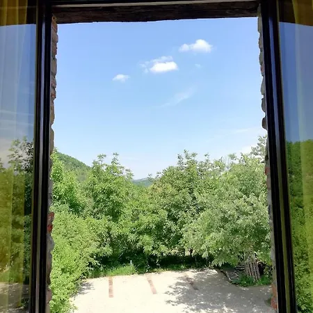 Agriturismo Tenuta Antica Cessole Esterno foto
