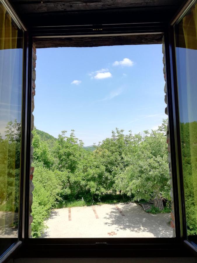Tenuta Antica * Cessole